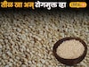 तीळ खा अन् रोगमुक्त व्हा, हिवाळ्यातील फायदे माहितीये का?