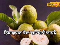 हिवाळ्यात रोज एक पेरू खा अन् स्वस्थ राहा! आश्चर्यकारक फायदे माहितीये का?