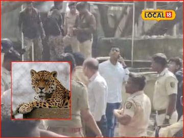 Kolhapur Leopard: कोल्हापुरात हॉटेलमध्ये घुसला बिबट्या, हल्ल्यात दोघे जखमी, या भागात दहशत