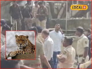 Kolhapur Leopard: कोल्हापुरात हॉटेलमध्ये घुसला बिबट्या, हल्ल्यात दोघे जखमी, या भागात दहशत Kolhapur Leopard: कोल्हापुरात हॉटेलमध्ये घुसला बिबट्या, हल्ल्यात दोघे जखमी, या भागात दहशत