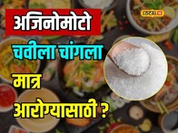 चायनीज पदार्थांमध्ये वापरले जाणारे अजिनोमोटो शरीरासाठी फायदेशीर असतं का? तज्ज्ञ काय म्हणतात पाहा Video