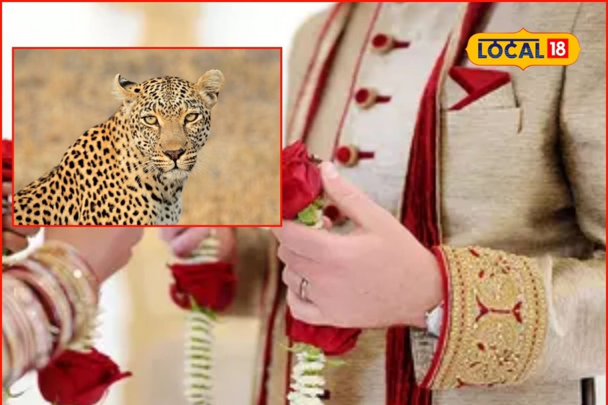 नशीब फुटलं! 'वेल सेटल' असूनही लग्नं मोडली, बिबट्याच्या भीतीने सोयरिकच होईना