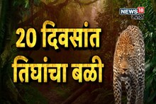 Pune: 'कबुतरासाठी बैठका, 56 जणांचा जीव घेणाऱ्या बिबट्यासाठी सरकारकडे वेळ नाही' 12 तासांनंतरही मंचरकर आंदोलनावर ठाम