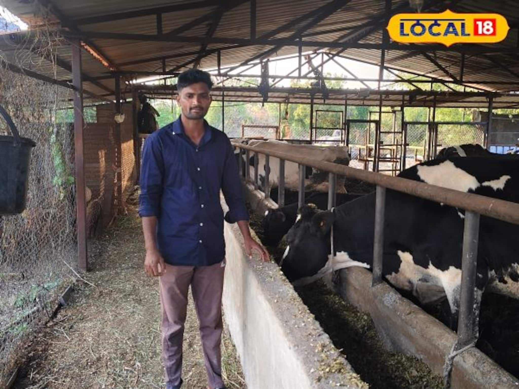 Success Story : शेतीला निवडला जोड व्यवसाय, तरुण शेतकरी करतोय दूध विक्री, महिन्याला 1 लाखांची उलाढाल