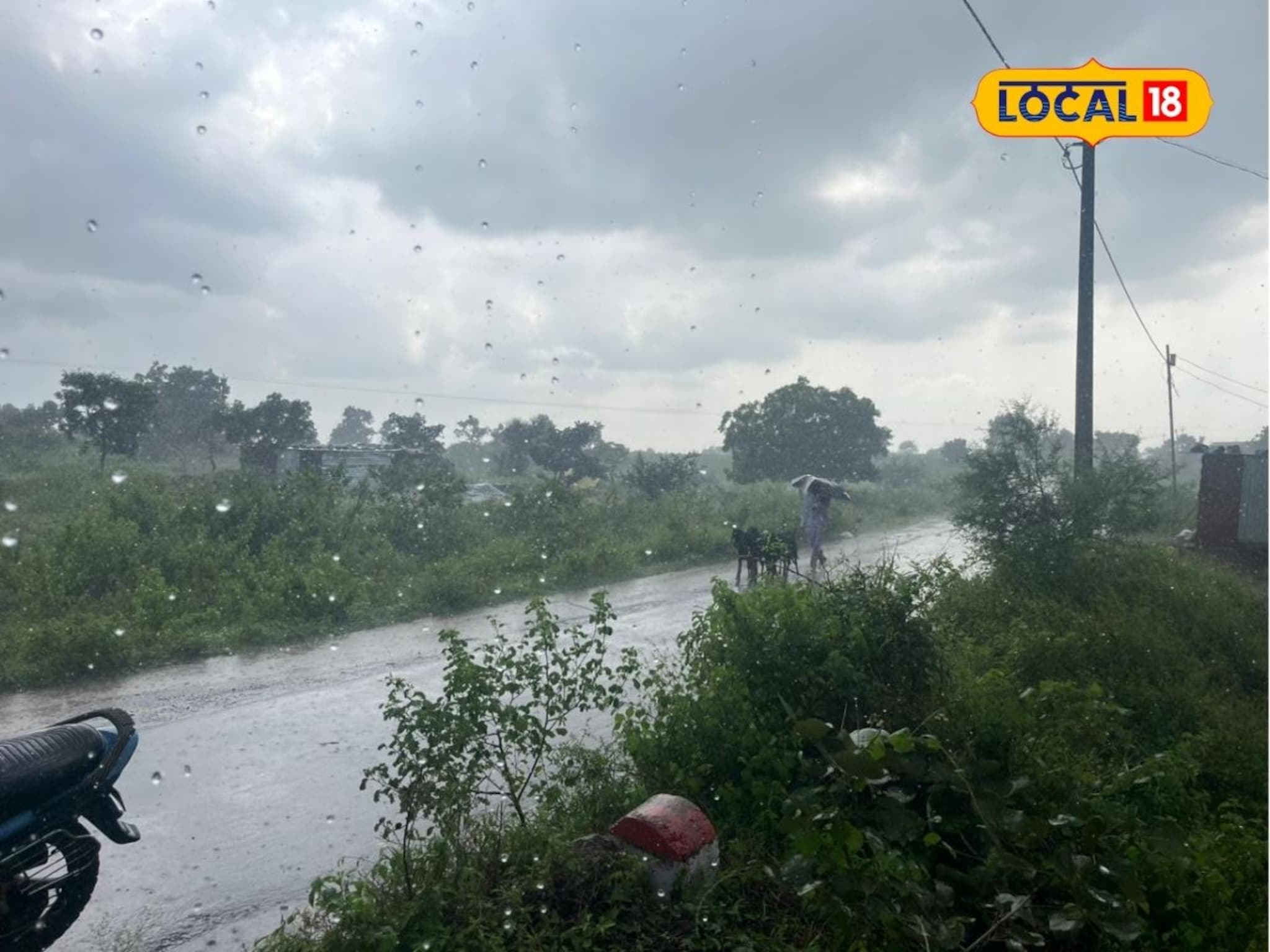 Marathwada Weather Update : मराठवाड्यात दुपारनंतर हवा बदलणार, विजा कडाडणार, 'या' जिल्ह्यांत पावसाची शक्यता