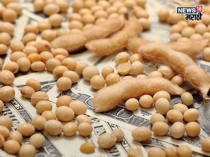 पिवळ्या सोयाबीनच्या खरेदीमध्ये वाढ