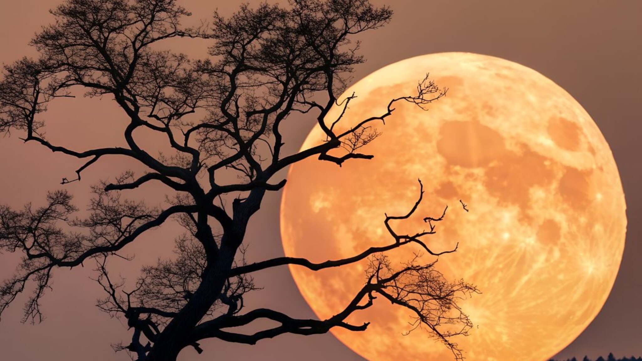 GK : जगातील एकमेव देश, जिथे चंद्र सर्वात जवळ आहे; नाव ऐकून बसेल धक्का, 99 टक्के लोकांना हे माहित नाही