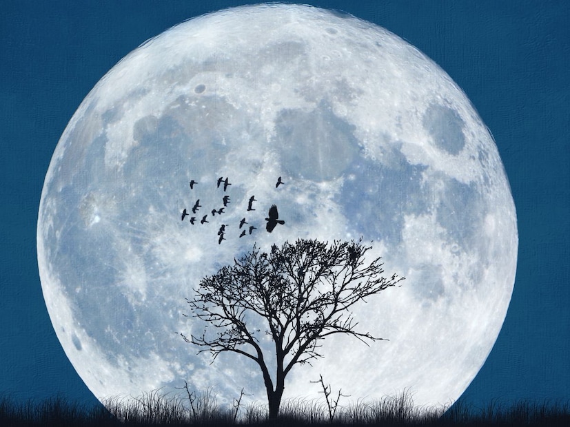 आज आपल्या पृथ्वीबद्दल अनेक रंजक गोष्टी ऐकायला मिळतात. आपण शाळेत शिकलेलंच आहे की पृथ्वी पूर्णपणे गोल नाही, तर ती एखाद्या संत्र्यासारखी थोडी चपटी आहे. या आकारामुळे भूमध्य रेषेवर पृथ्वीचं अंतर केंद्रापासून सर्वाधिक असतं आणि त्यामुळे तिथं गुरुत्वाकर्षण इतर भागांच्या तुलनेत किंचित कमी जाणवतं.