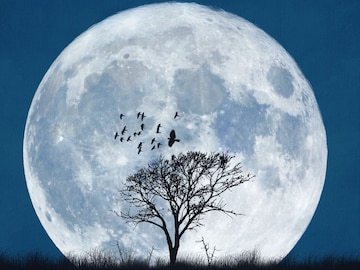 GK : जगातील एकमेव देश, जिथे चंद्र सर्वात जवळ आहे; 99 टक्के लोकांना हे माहित नाही GK : जगातील एकमेव देश, जिथे चंद्र सर्वात जवळ आहे; 99 टक्के लोकांना हे माहित नाही