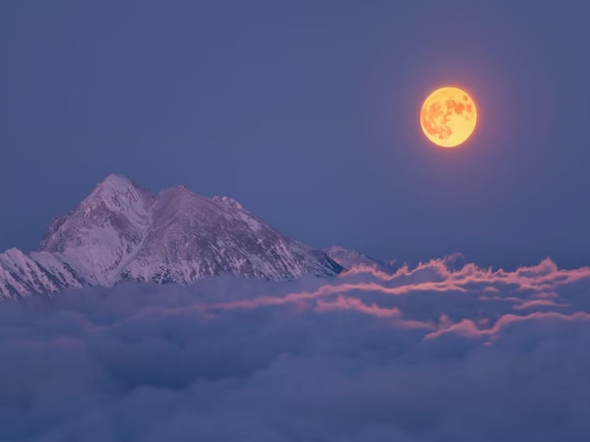 ‘इक्वाडोर’ या शब्दाचा स्पॅनिश भाषेत अर्थच ‘भूमध्य रेषा’ असा आहे. कारण हा देश अक्षरशः त्या काल्पनिक रेषेवर बसलेला आहे जी पृथ्वीला उत्तरेकडील आणि दक्षिणेकडील गोलार्धात विभागते. जगात 13 देश पूर्णपणे भूमध्य रेषेवर आहेत आणि इक्वाडोर त्यापैकी एक.