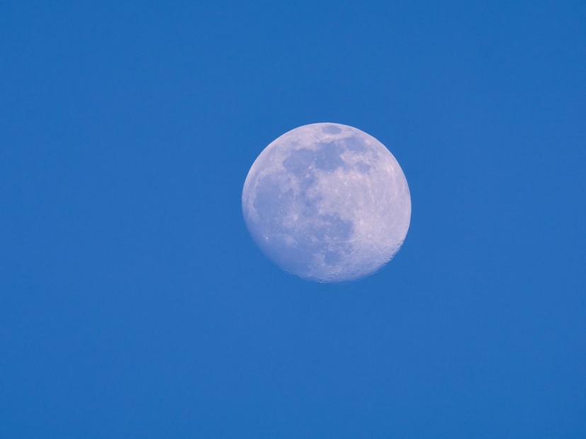 इक्वाडोर फक्त भौगोलिकदृष्ट्या खास नाही, तर नैसर्गिक संपत्तीनेही समृद्ध आहे. इथं जगप्रसिद्ध युनेस्को हेरिटेज गॅलापागोस आयलंड्स आहेत. इथे तब्बल 9,000 पेक्षा अधिक प्राण्यांच्या प्रजाती आढळतात.