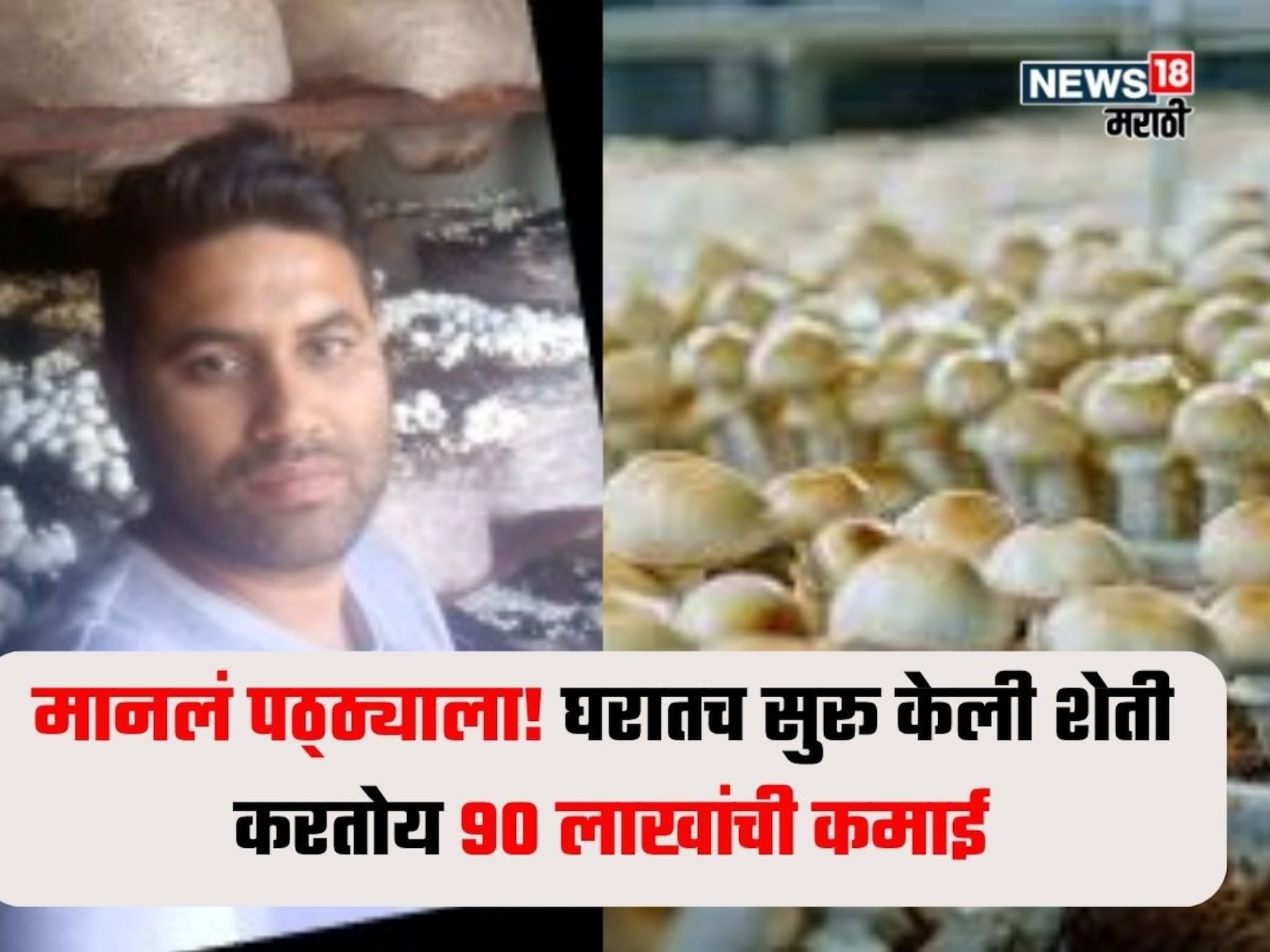 MBA केलं अन् आयडीया सुचली! नोकरी न करता घरातच सुरू केली शेती, वर्षाला करतोय ९० लाखांची कमाई