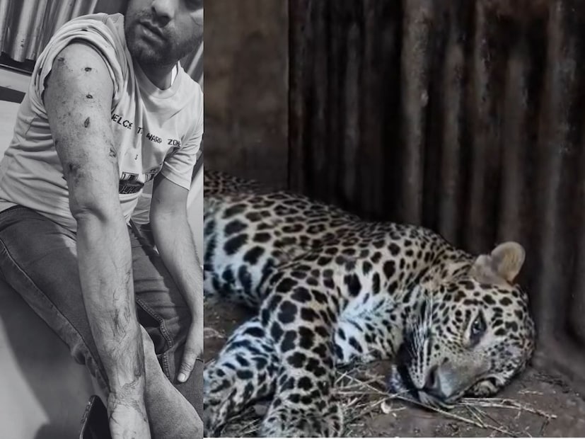  तब्बल ३ तासांच्या प्रयत्नानंतर बिबट्याला कसंबसं जेरबंद करण्यात आलं. पण, या बिबट्याने केलेल्या हल्ल्यात वनरक्षकासह ३ नागरिक जखमी झाले. 