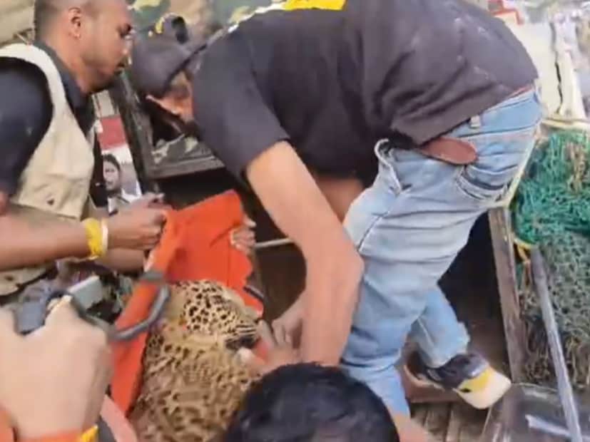 नाशिकमधील गंगापूर रोड परिसरात शुक्रवारी दुपारी एक बिबट्याने धुमाकूळ घातला. गंगापूर महात्मानगर परिसरात  संत कबीरनगर आणि वनविहार कॉलनीमध्ये बिबट्याने एंट्री केली. स्थानिक लोकांना बिबट्याचं दर्शन होताच 'बिबट्या आला रे' म्हणत बातमी वाऱ्यासारखी पसरली. तोपर्यंत बिबट्याने एका सोसायटीमध्ये जाऊन आसरा घेतला. 