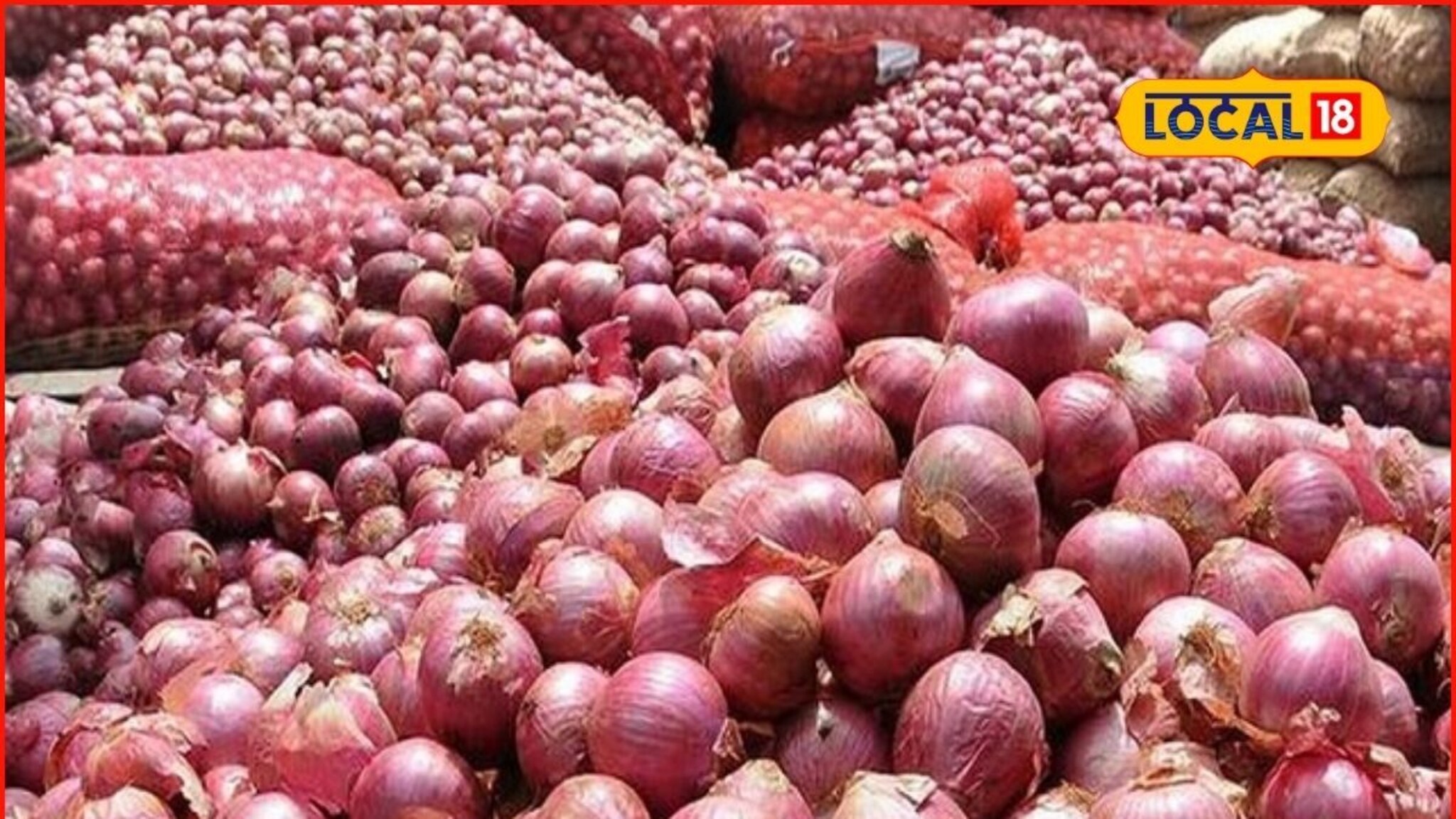 Krushi Market Rate: कांद्याचा बाजारभाव भुईसपाट, मक्यासह इतर शेतमालांचे भाव वधारले