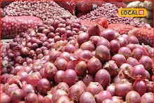 Onion Seed Price : शेतकऱ्यांनो ही संधी नका सोडू, बिजोत्पादनासाठी कांदा 700 रुपये क्विंटल, इथं करा खरेदी