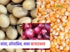 Krushi Market: मक्याचे दर भुईसपाट! कांदा, सोयाबिनला रविवारी किती मिळाला भाव?