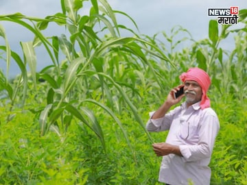 तुमच्या खात्यात PM Kisan चा हप्ता आलाच नाही का? पैसे मिळवण्यासाठी काय कराल? तुमच्या खात्यात PM Kisan चा हप्ता आलाच नाही का? पैसे मिळवण्यासाठी काय कराल?