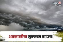 कृषी हवामान : अवकाळीचा मुक्काम वाढला, या जिल्ह्यांना अलर्ट, शेतकऱ्यांसाठी सल्ला काय?