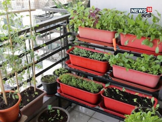 agriculture news agriculture news