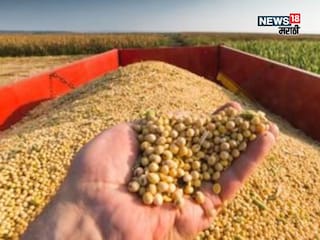 soyabean news soyabean news