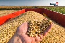 राज्यात सोयाबीन खरेदी कधीपासून सुरू होणार? बाजारभाव किती मिळणार? शासनाकडून आली नवीन अपडेट