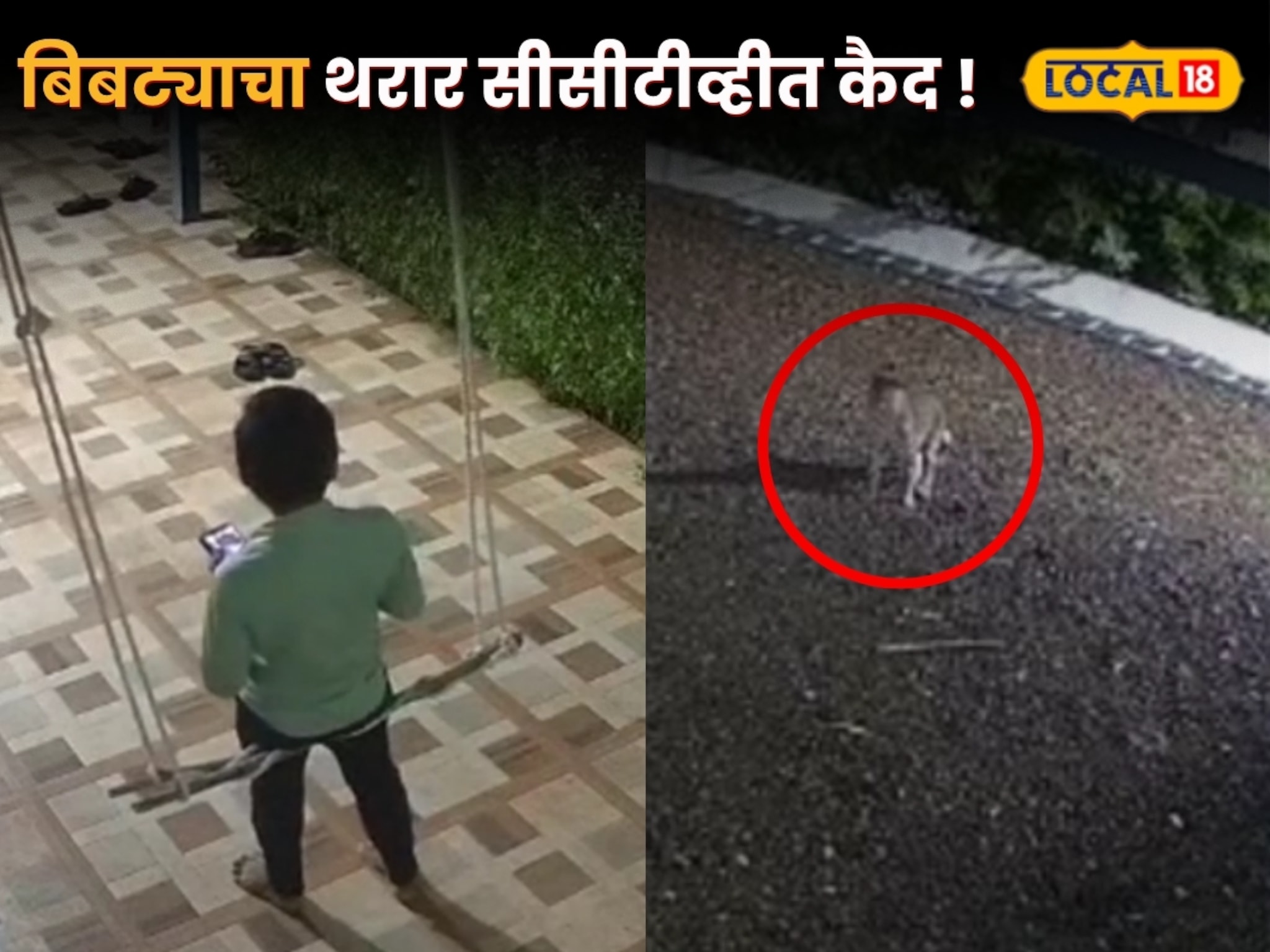 चिमुकला झोक्यावर खेळत होता, अचानक बिबट्याचा हल्ला, पोरगं थोडक्यात वाचलं, थरार सीसीटीव्हीत कैद
