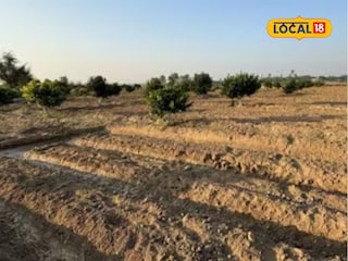 शेतकरी होणार मालामाल, एकरी कोटींचा मोबदला, आणखी काय मिळणार फायदे?