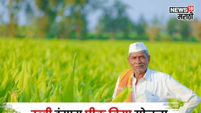 pik vima yojana pik vima yojana