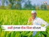 रब्बी हंगाम पीक विमा अपडेट! यंदा किती पिकांचा समावेश? अर्जाची अंतीम मुदत काय?