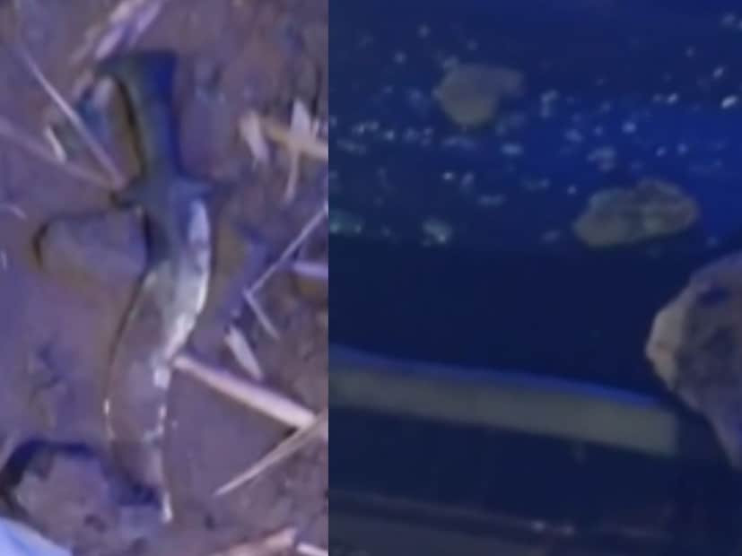 हल्लेखोरांनी राम खाडे यांची गाडी पूर्ण फोडून टाकली आहे.तसेच हा  हल्ला कुणी केला या संदर्भात अद्याप माहिती मिळू शकली नाही.पण या घटनेची माहिती मिळताच पोलिसांनी तपास सूरू केला आहे. 