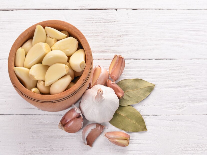 पाल आणि उंदीर पळवण्यासाठी आता केमिकल स्प्रेची गरज नाही. लसूणासारखा नैसर्गिक उपाय वापरून तुम्ही घर सुरक्षित, स्वच्छ आणि सुगंधी ठेवू शकता. थोडं नियमित लक्ष दिलं आणि घर कोरडं ठेवलं, की हे नकोसे पाहुणे कायमचे पळून जातात.