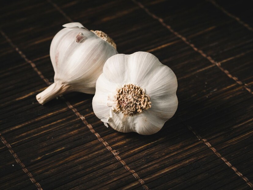 काही गोष्टी लक्षात ठेवालसणाचे मिश्रण लहान मुलं आणि पाळीव प्राण्यांच्या आवाक्याबाहेर ठेवा.
घर नेहमी कोरडं आणि स्वच्छ ठेवा, कारण ओलसर आणि अंधाऱ्या जागी हे जीव जास्त वाढतात.
घरात पुरेसं प्रकाश आणि वायुविजन (Ventilation) असेल तर छिपकली आणि उंदीर टिकूच शकत नाहीत.