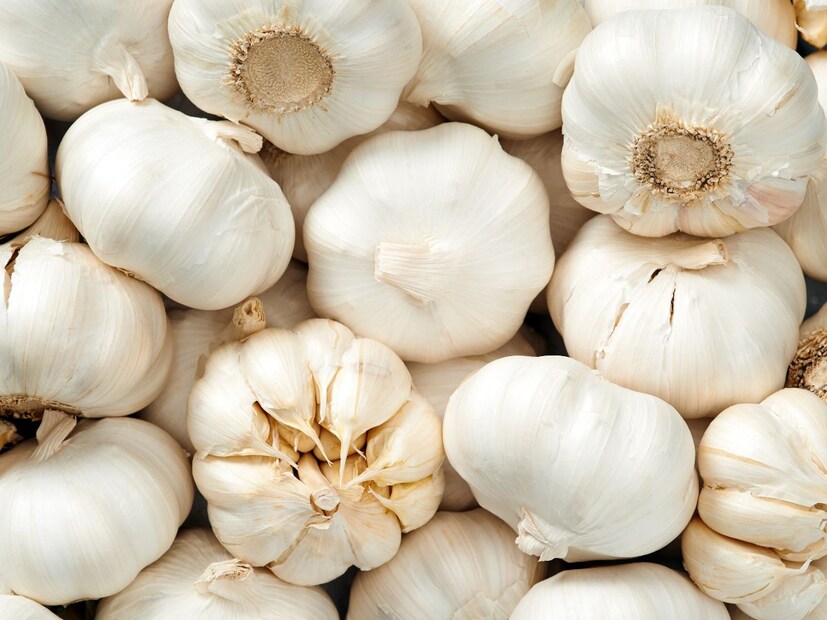 2. लसूणाचं स्प्रे बनवाजलद परिणाम हवा असेल तर हा उपाय उत्तम, काही लसूण पाकळ्या किसून किंवा वाटून त्यात पाणी मिसळा आणि हे मिश्रण स्प्रे बाटलीत भरा. मग तो भिंतींवर, कोपऱ्यांमध्ये, कपाटाजवळ किंवा जिथे हे प्राणी लपतात तिथे शिंपडा. लसूणाच्या गंधाने ते स्वतःहून दूर निघून जातात.