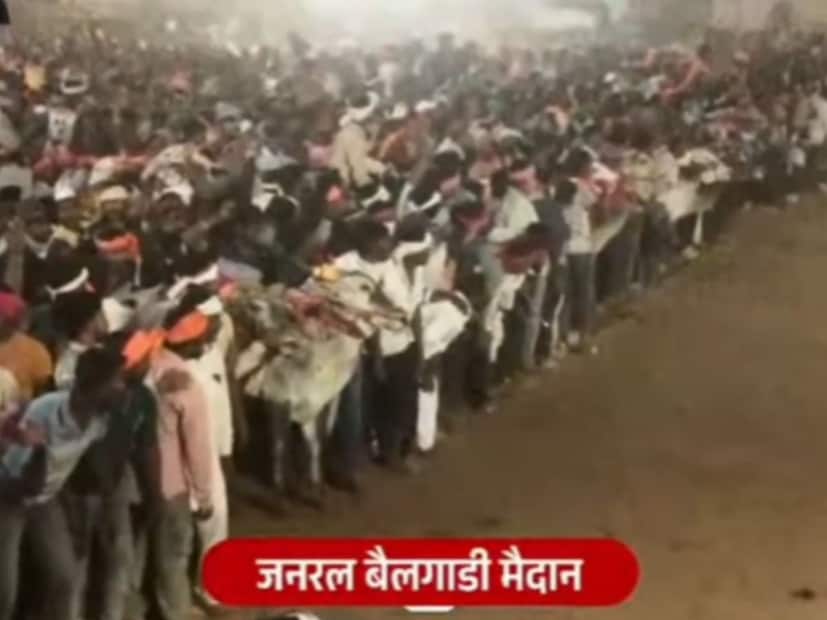 उपमुख्यमंत्री एकनाथ शिंदे यांच्या उपस्थितीमध्ये बैलगाडी शर्यती पार पडल्यात आणि ज्यामध्ये हेलिकॉप्टर आणि ब्रेकफेल बैलजोडीने प्रथम क्रमांक पटकावत फॉर्च्यूनर गाडी जिंकली आहे.