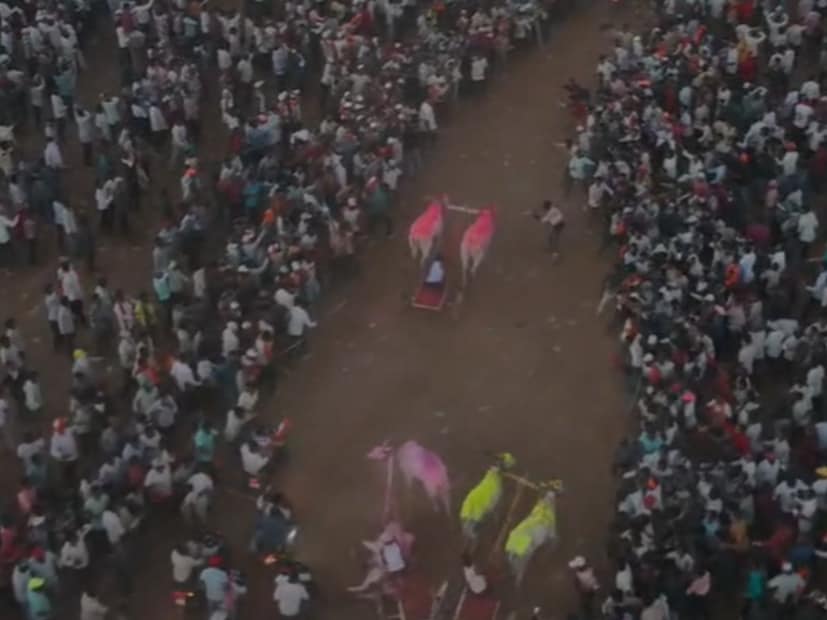 कोल्हापूरच्या शिरोळचे बाळू दादा हजारे यांचा हेलिकॉप्टर बैज्या आणि सांगलीच्या भिलवडी येथील पाटील डेअरीचा ब्रेक फेल बैलजोडीने फॉर्च्युनर गाडी पटकावली आहे. 