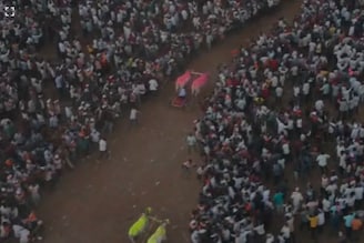 हेलिकॉप्टर बैजा-ब्रेक फेल जोडीने मारलं बैलगाडा शर्यतीचं मैदान, जिंकली फॉर्च्युनर