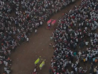 हेलिकॉप्टर बैजा-ब्रेक फेल जोडीने मारलं बैलगाडा शर्यतीचं मैदान, जिंकली फॉर्च्युनर