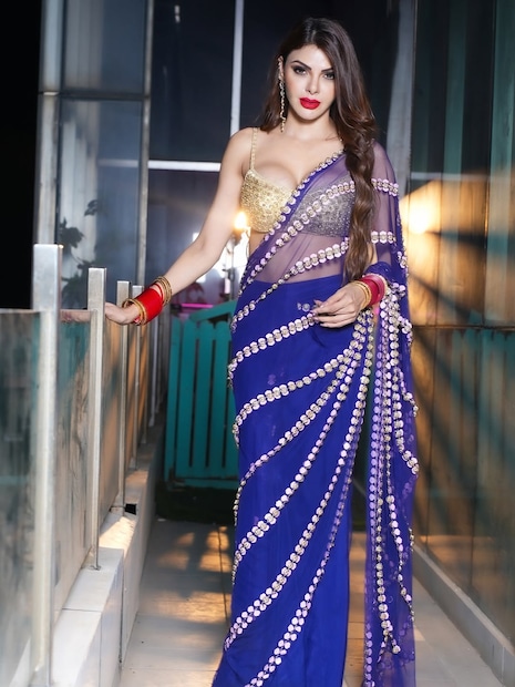 शर्लिन चोप्राने अनेकवेळा तिच्या सोशल मीडिया प्लॅटफॉर्मवर याबाबत उघडपणे पोस्ट करून खळबळ उडवून दिली आहे. शर्लिनने सांगितले की, तिच्या अधिकृत ईमेल आयडीवर आणि ट्विटर अकाउंटवर अनेक पुरुष पैसे देऊन शरीरसंबंध ठेवण्यासाठी संपर्क साधतात आणि ऑफर देतात.