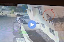 आईची नजर हटली अन् चिमुकला थेट इमारतीच्या गॅलरीतून पडला, नाशकातील धडकी भरवणारा CCTV VIDEO