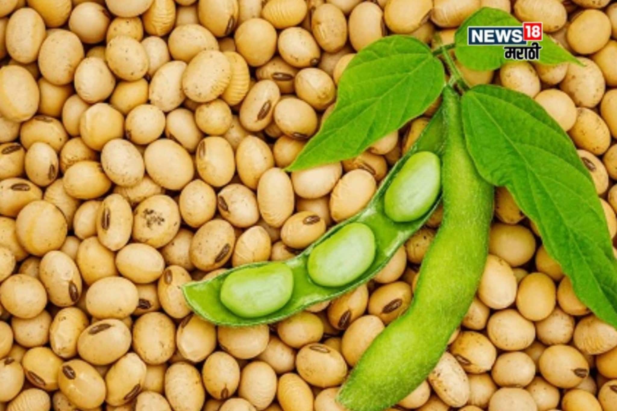 डिसेंबरच्या तिसऱ्या आठवड्यात सोयाबीन बाजारभावात घसरण! आजचे बाजारभाव काय? डिसेंबरच्या तिसऱ्या आठवड्यात सोयाबीन बाजारभावात घसरण! आजचे बाजारभाव काय?