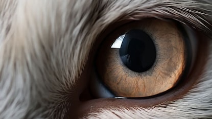 प्रतिकात्मक फोटो प्रतिकात्मक फोटो