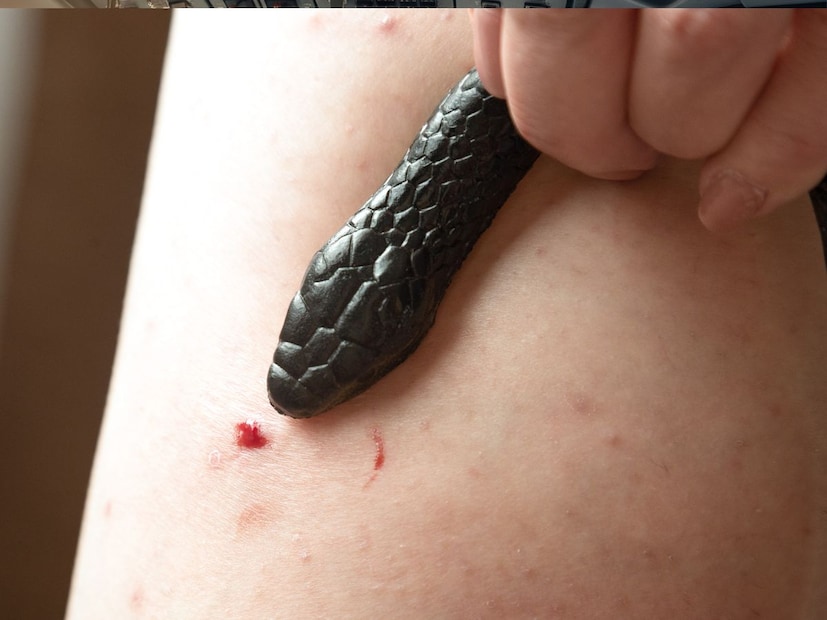 पृथ्वीवरचे 3,000 पेक्षा जास्त सापांचे प्रकारपृथ्वीवर सुमारे 3,000 हून अधिक प्रजातींचे साप आहेत. त्यांपैकी अत्यल्पच साप खरोखर विषारी आणि माणसासाठी घातक असतात. बहुतेक सापांचा विष मानवी शरीरावर परिणाम करत नाही. मात्र भूक लागल्यास किंवा धोका जाणवल्यास साप हल्ला करतात. ही त्यांची नैसर्गिक प्रतिक्रिया असते.