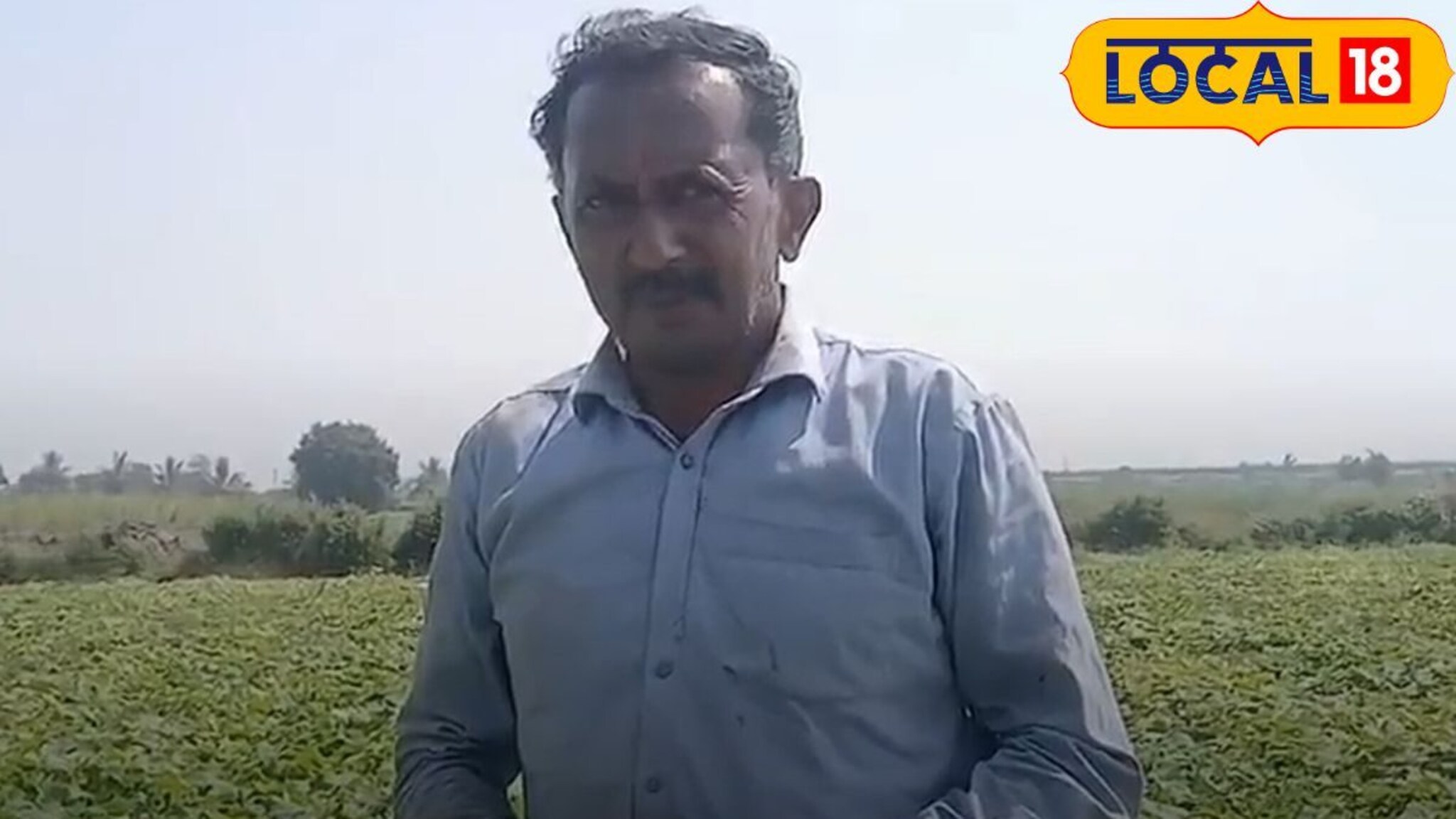 Success Story: पावसाने कंबरडं मोडलं, पण मेहनीतने सावरलं; सोलापूरच्या शेतकर्‍याने सांगितला यशाचा अचूक फॉर्म्युला!