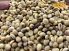 सोयाबीनच्या दराबाबत मोठी अपडेट, मिळाला विक्रमी 6200 रुपये दर, आणखी भाव वाढणार?