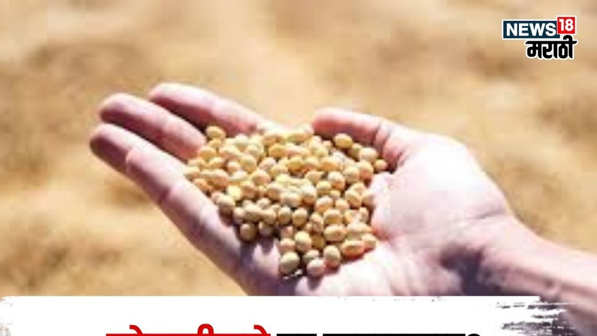 सोयाबीनच्या दरात मोठी उलथापालथ! बाजारभाव आणखी कडाडणार? मार्केट अपडेट आली समोर