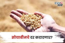 सोयाबीनच्या दरात मोठी उलथापालथ! बाजारभाव आणखी कडाडणार? मार्केटमधून नवीन अपडेट आली समोर