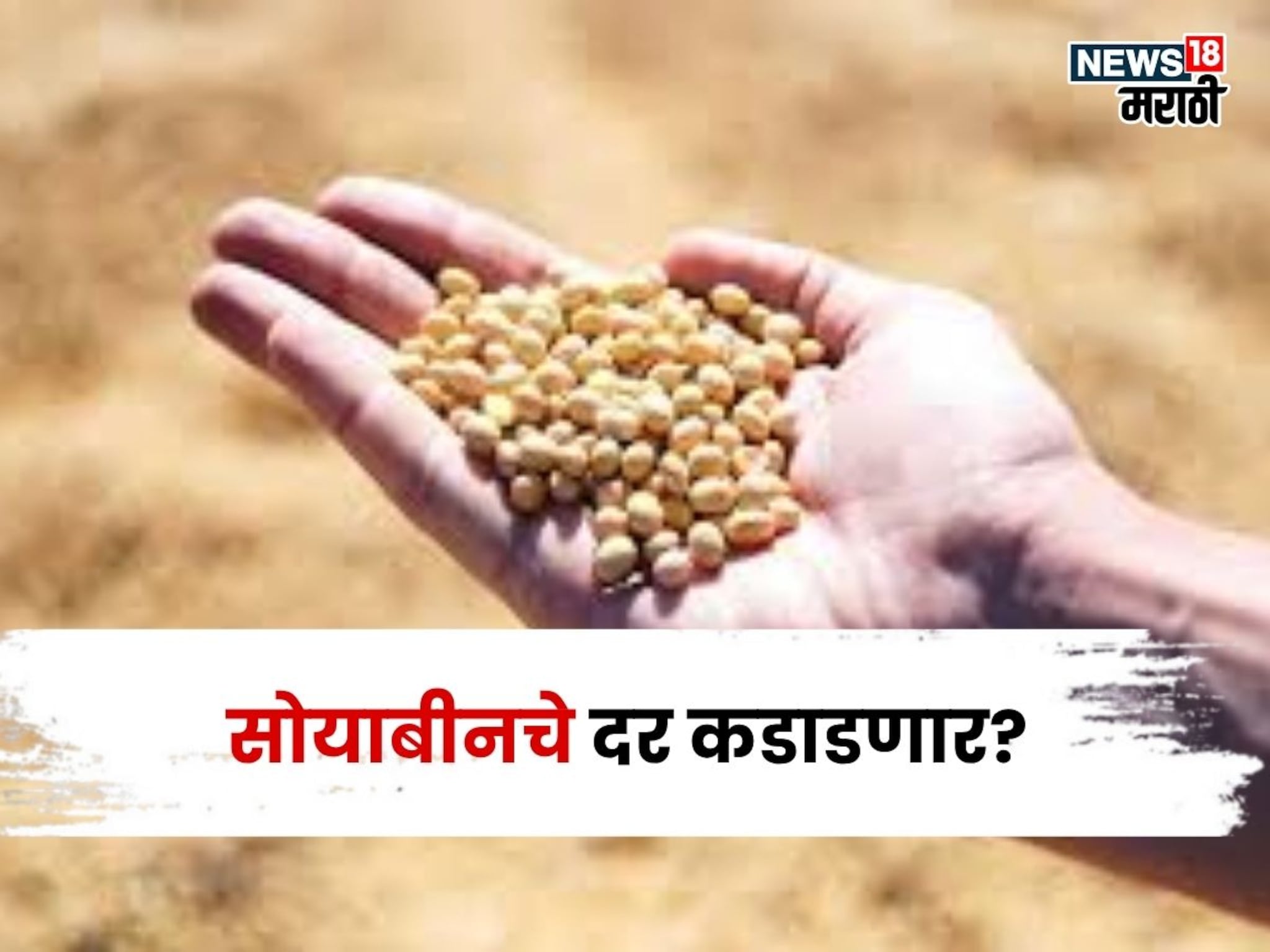सोयाबीनच्या दरात मोठी उलथापालथ! बाजारभाव आणखी कडाडणार? मार्केटमधून नवीन अपडेट आली समोर