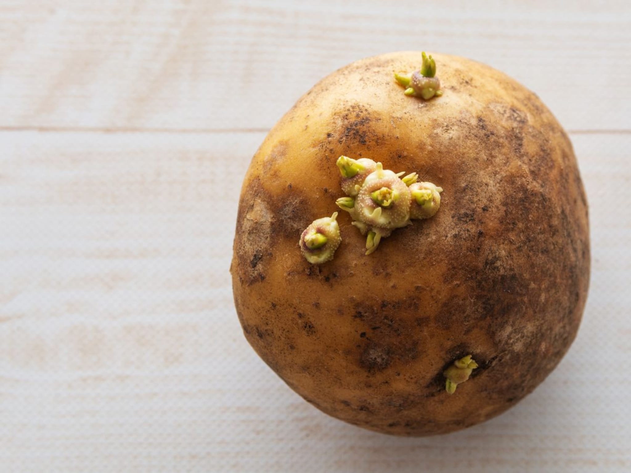 मोड आलेले बटाटे खाऊ शकतो का? कधी वापरावे कधी टाकून द्यावेत, तज्ज्ञ काय सांगतात आधी समजून घ्या