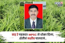 वाह रे पठ्ठ्या! MPSC ने धोका दिला, पण 2 एकर शेतीनं नशीब पालटलं, वर्षाला करतोय १५,००,००० ची कमाई
